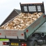 Double Load Kiln Dried Logs