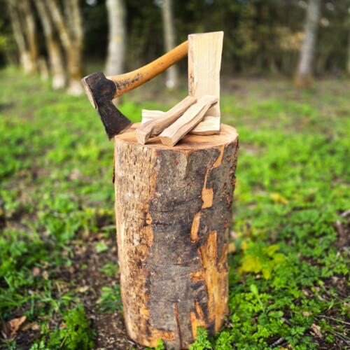 chopping-block